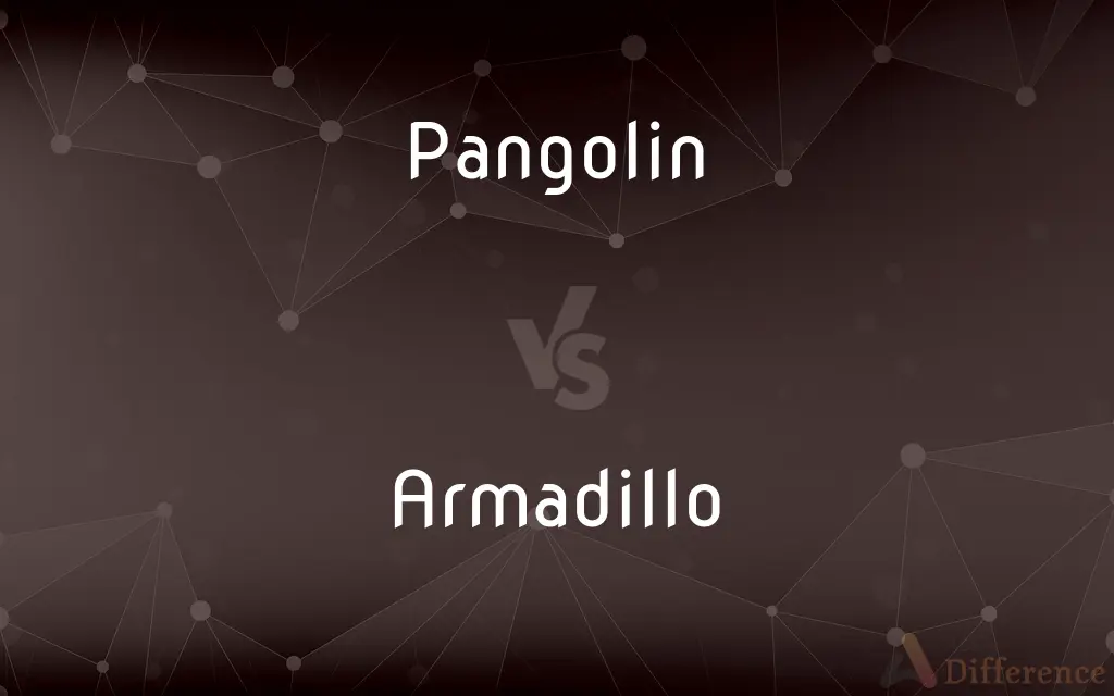 Pangolin vs. Armadillo — What's the Difference?