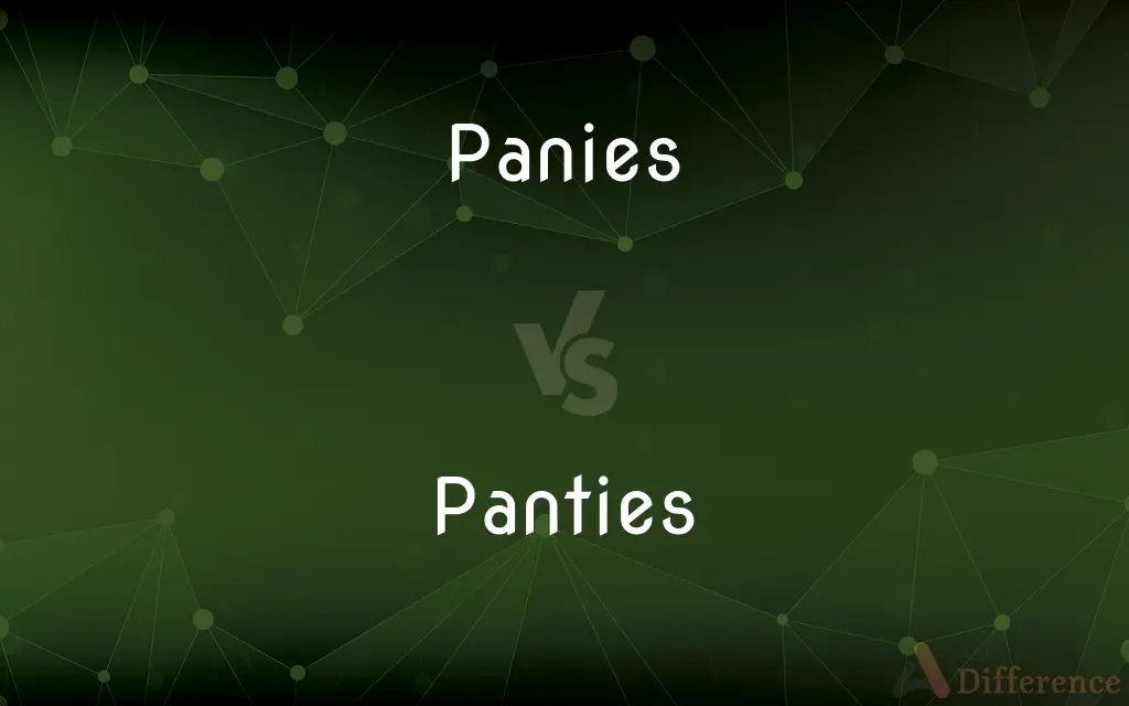 Panies vs. Panties — Which is Correct Spelling?