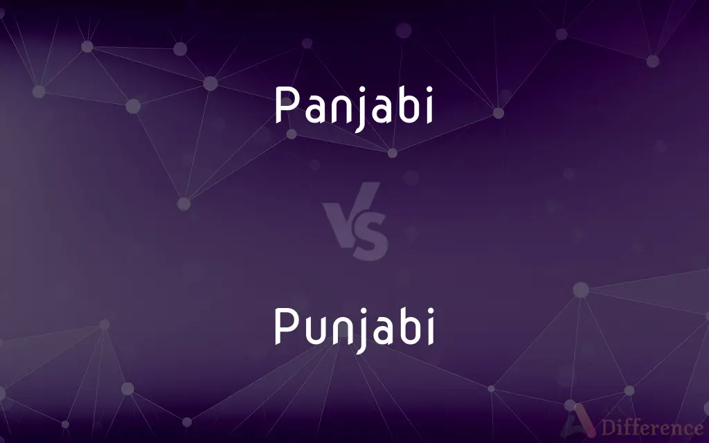 Panjabi vs. Punjabi — What's the Difference?