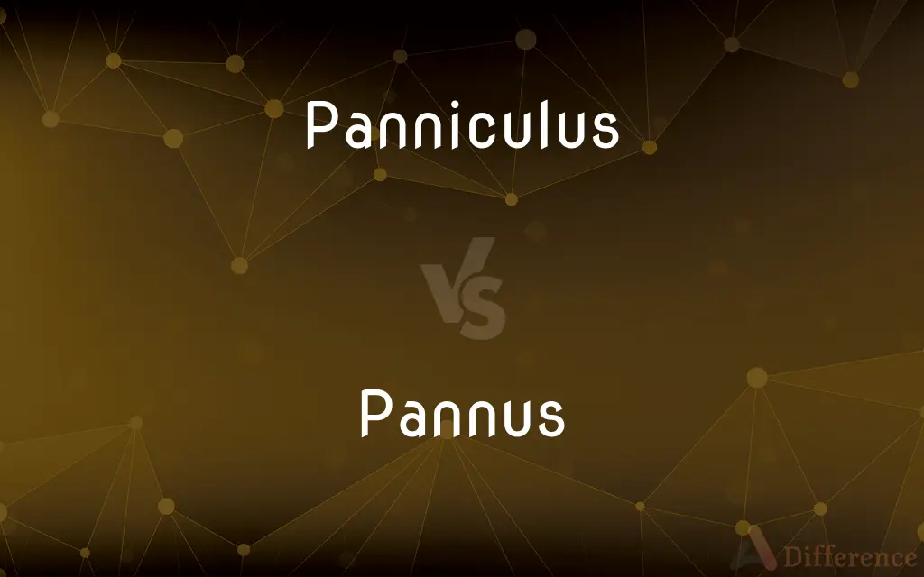 Panniculus vs. Pannus — What's the Difference?