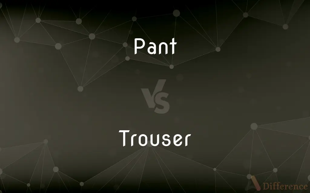 Pant vs. Trouser — What's the Difference?