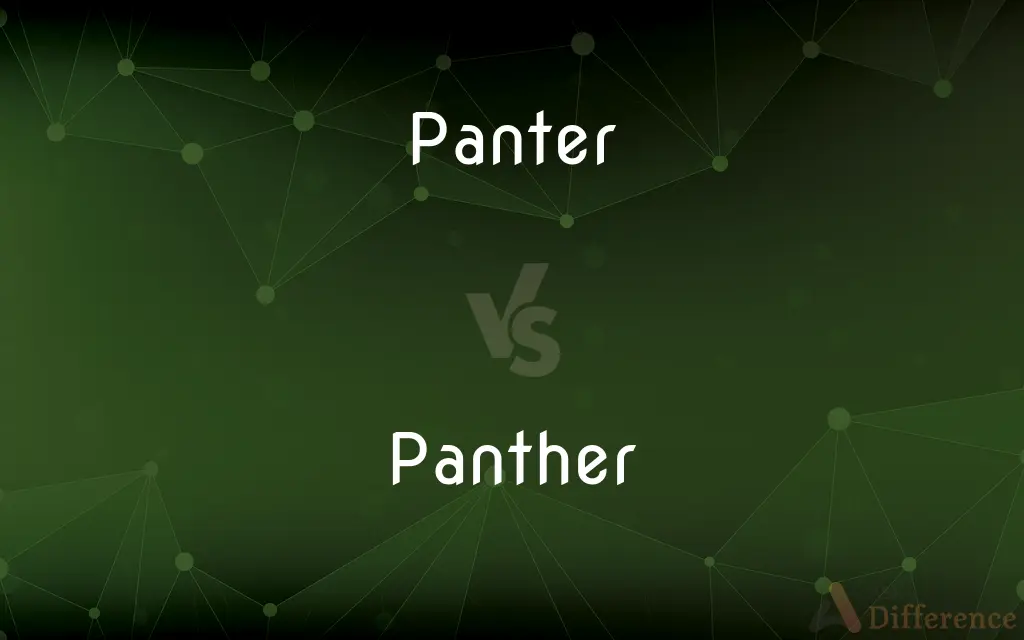 Panter vs. Panther — What's the Difference?