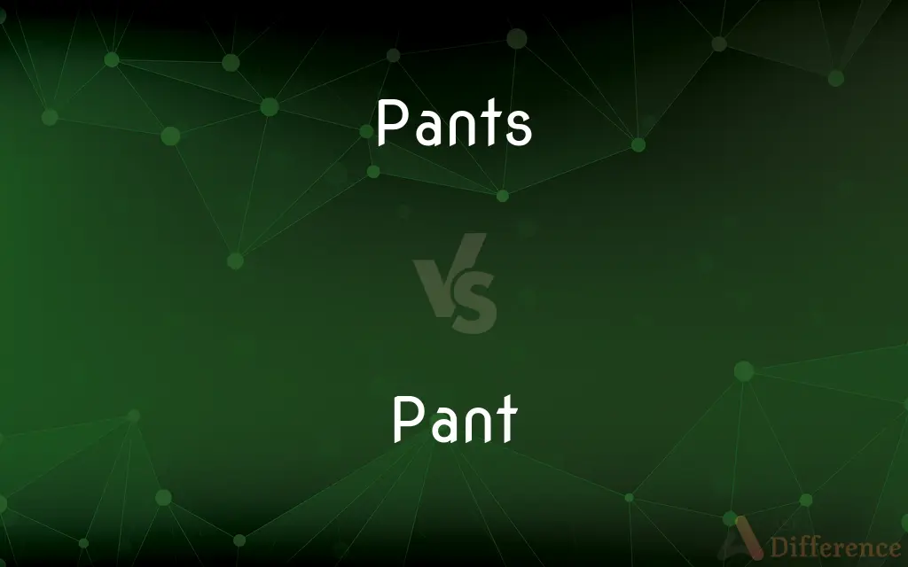 Pants vs. Pant — What's the Difference?
