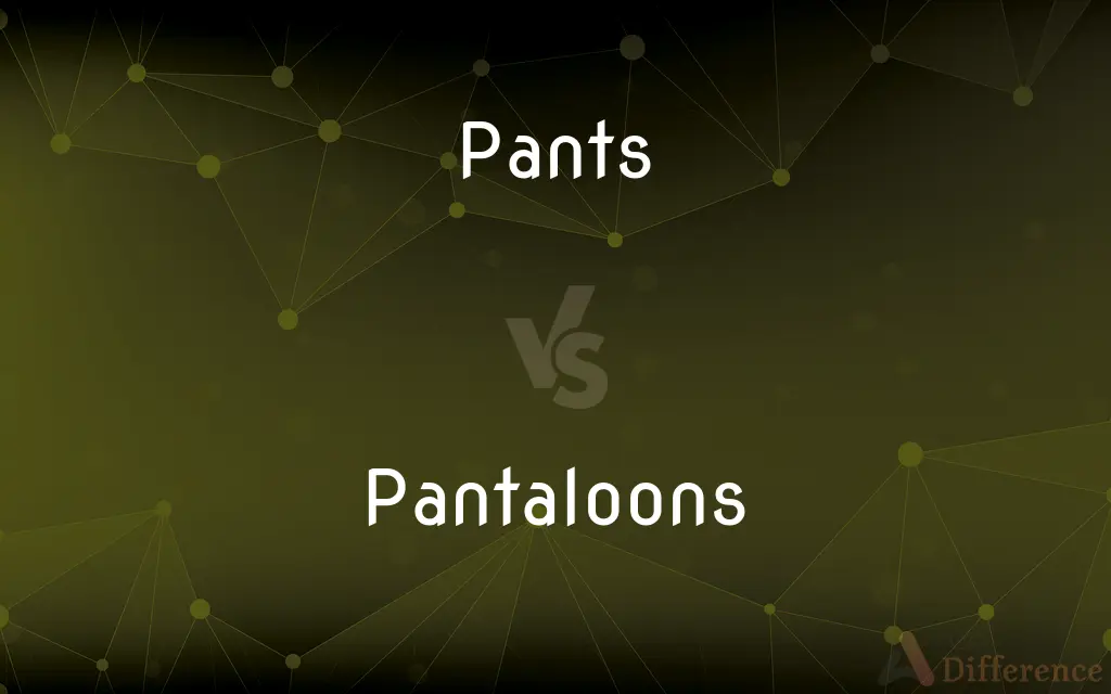 Pants vs. Pantaloons — What's the Difference?