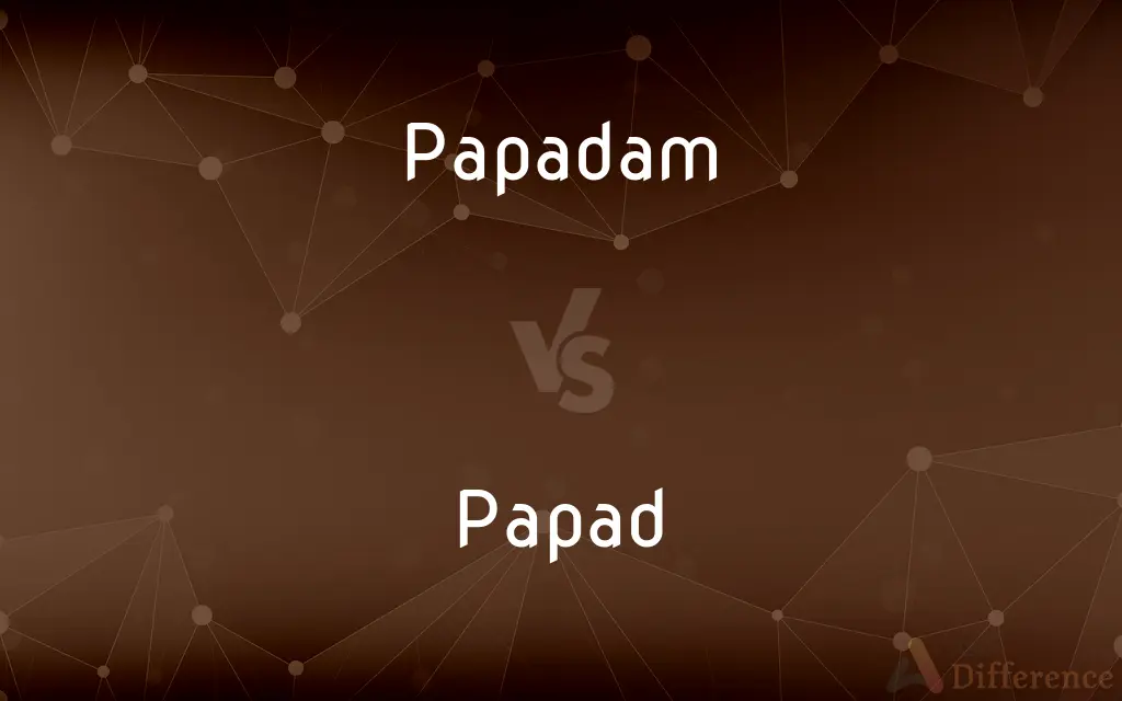 Papadam vs. Papad — What's the Difference?