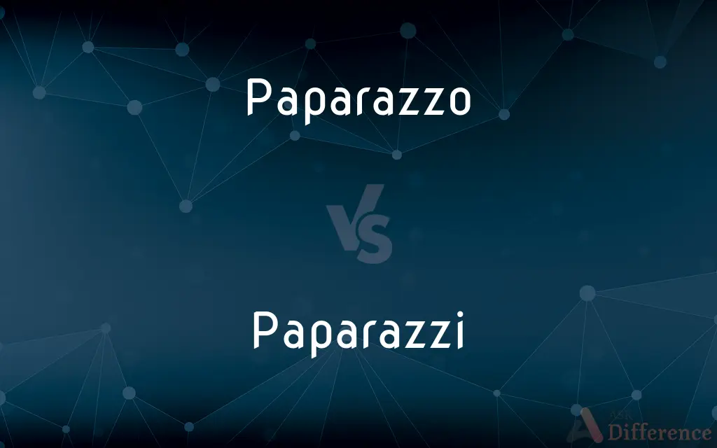 Paparazzo vs. Paparazzi — What's the Difference?