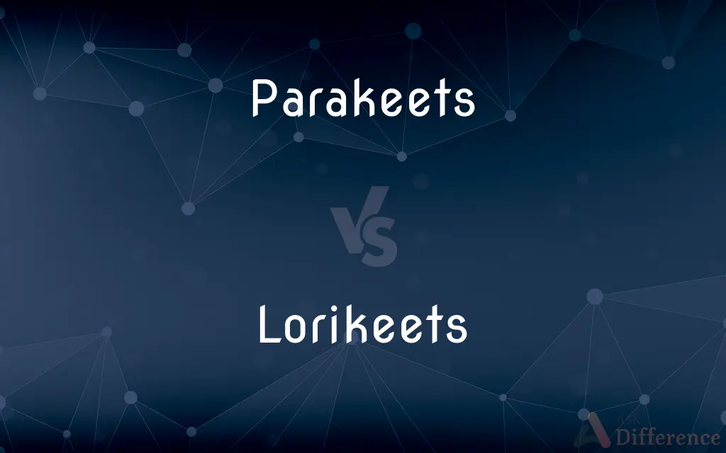 Parakeets vs. Lorikeets — What's the Difference?
