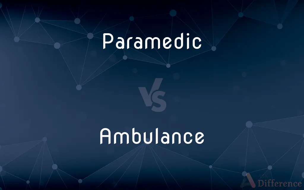 Paramedic vs. Ambulance — What's the Difference?