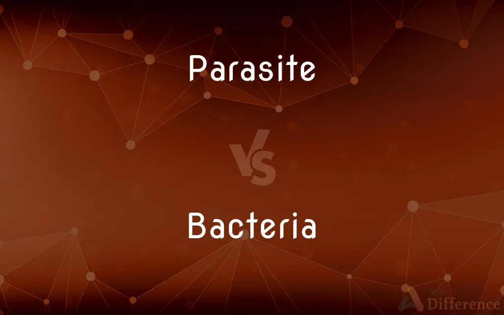 Parasite vs. Bacteria — What's the Difference?