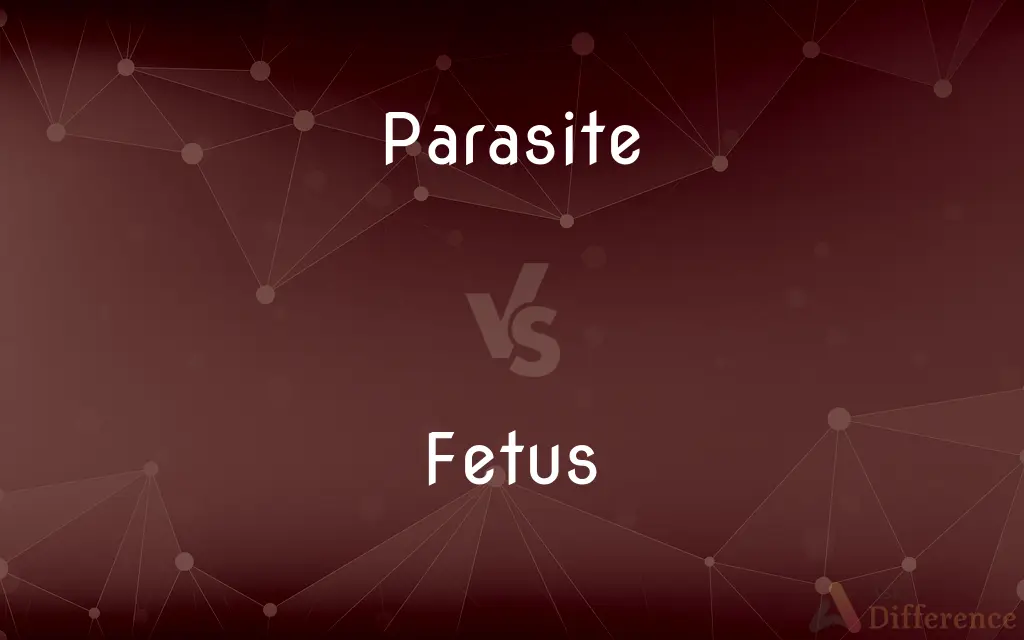 Parasite vs. Fetus — What's the Difference?