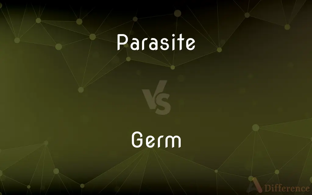 Parasite vs. Germ — What's the Difference?