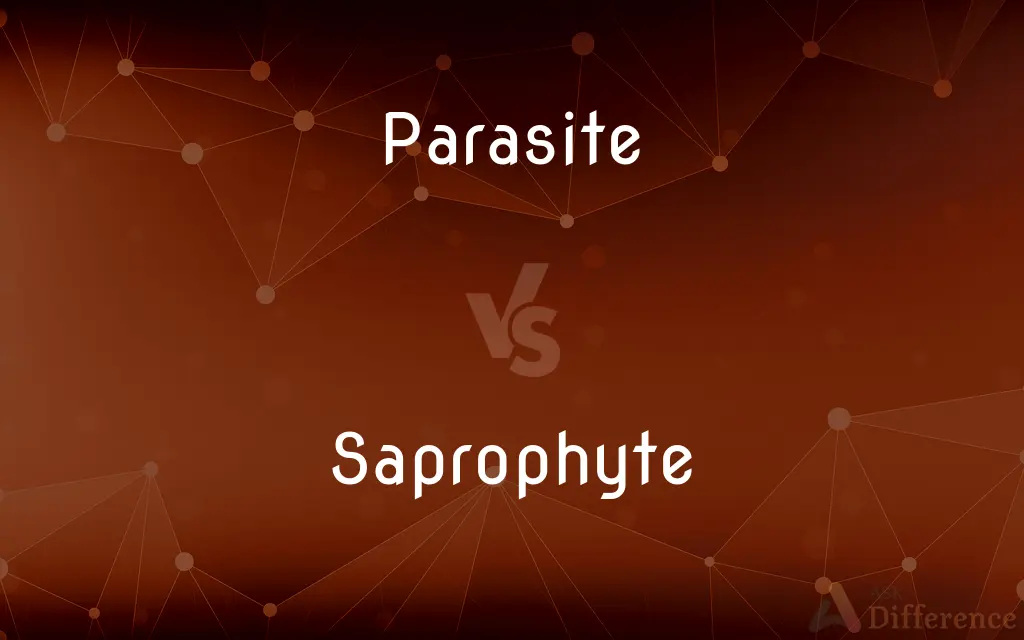 Parasite vs. Saprophyte — What's the Difference?