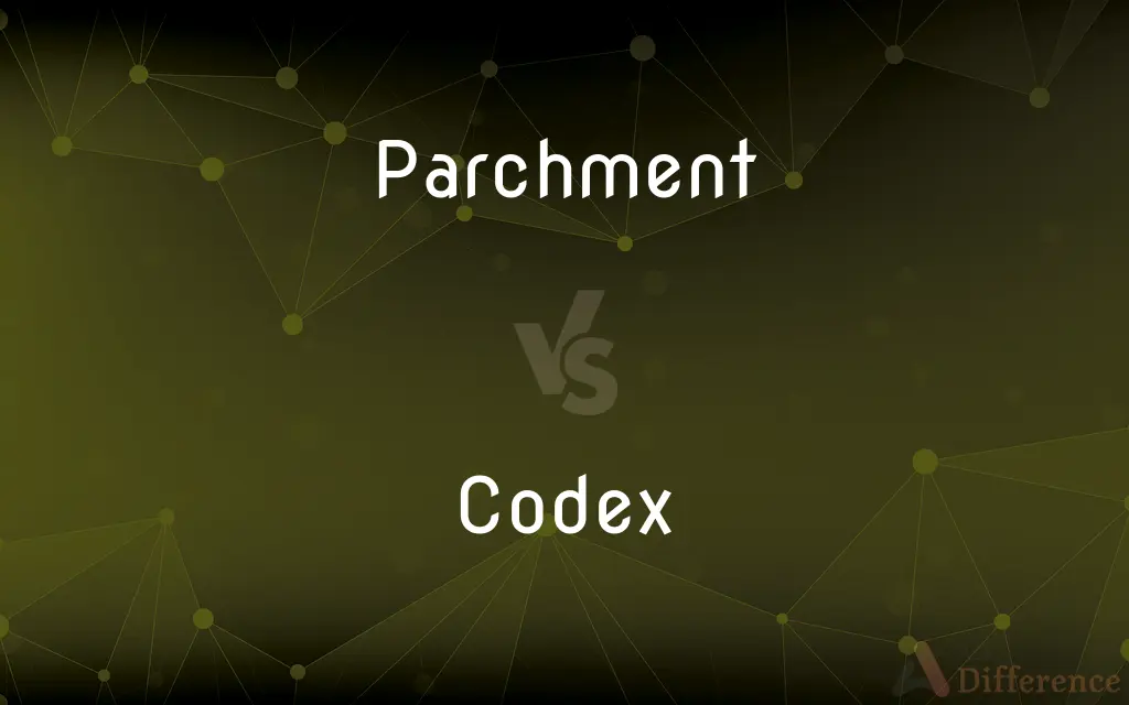 Parchment vs. Codex — What's the Difference?