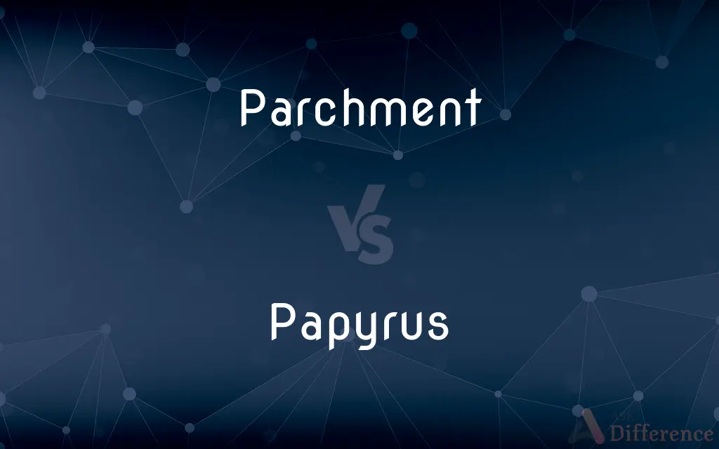 Parchment vs. Papyrus — What's the Difference?