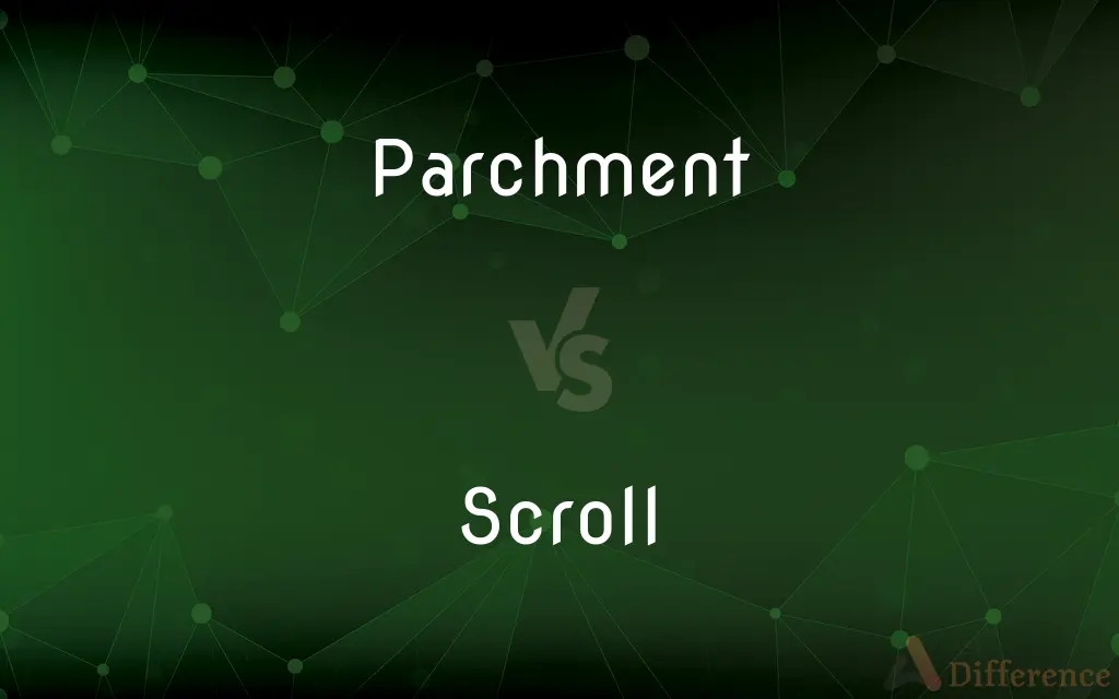 Parchment vs. Scroll — What's the Difference?