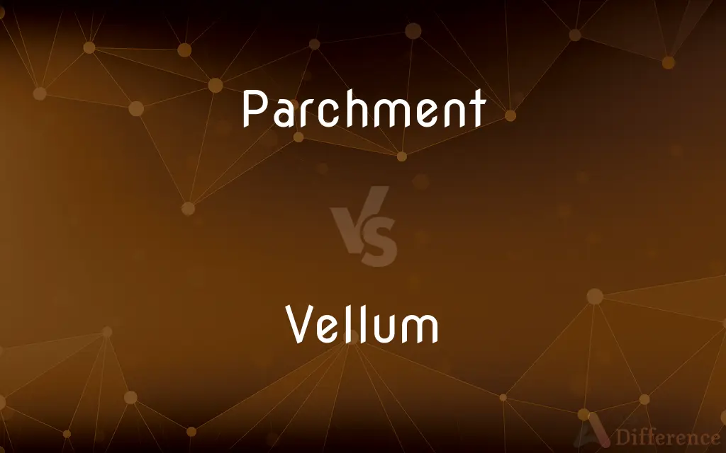 Parchment vs. Vellum — What's the Difference?