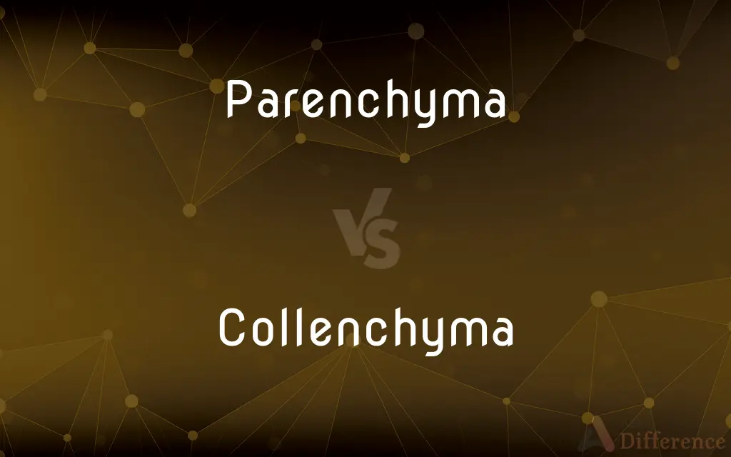 Parenchyma vs. Collenchyma — What's the Difference?