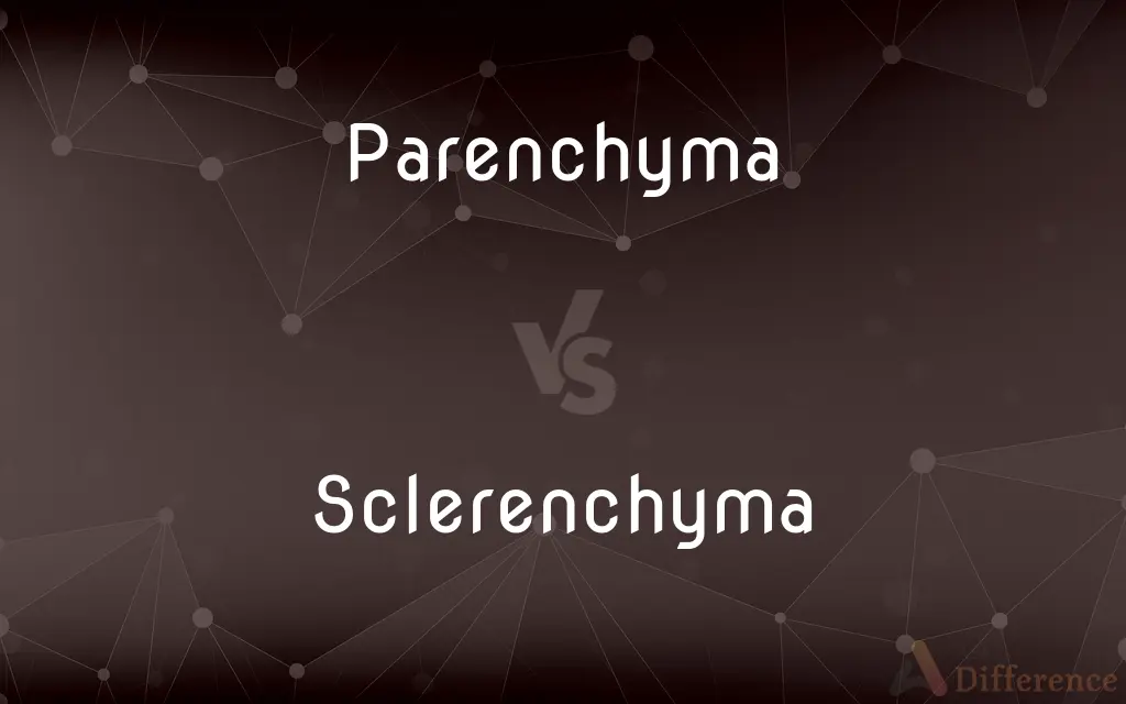 Parenchyma vs. Sclerenchyma — What's the Difference?