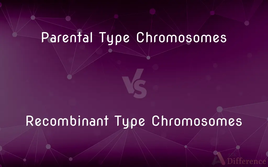 Parental Type Chromosomes vs. Recombinant Type Chromosomes — What's the Difference?