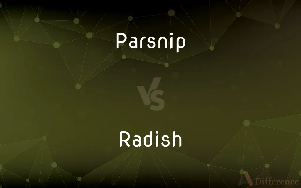 Parsnip vs. Radish — What's the Difference?