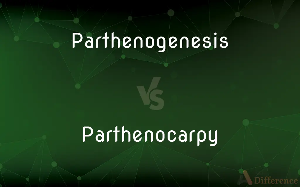 Parthenogenesis vs. Parthenocarpy — What's the Difference?