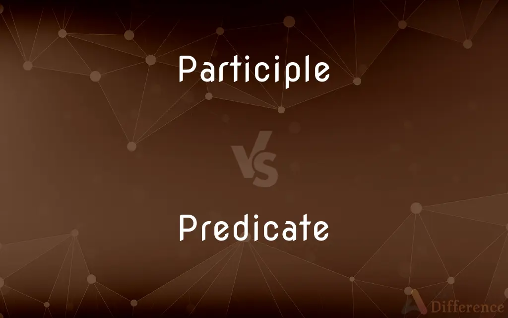 Participle vs. Predicate — What's the Difference?