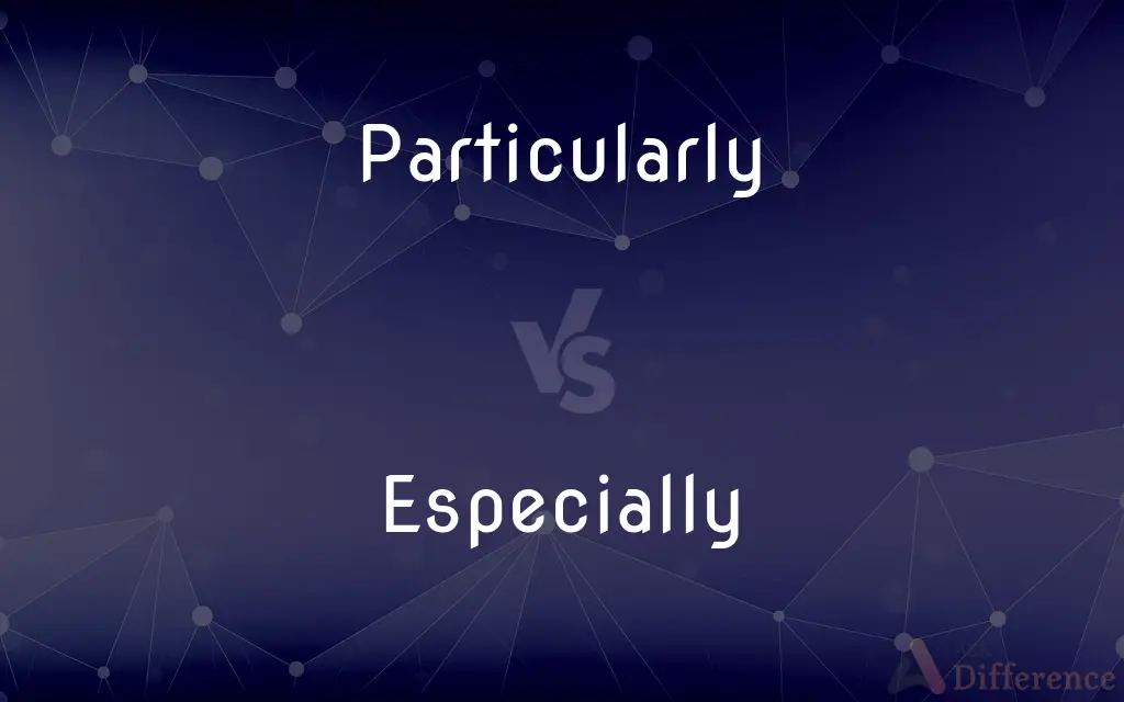 Particularly vs. Especially — What's the Difference?