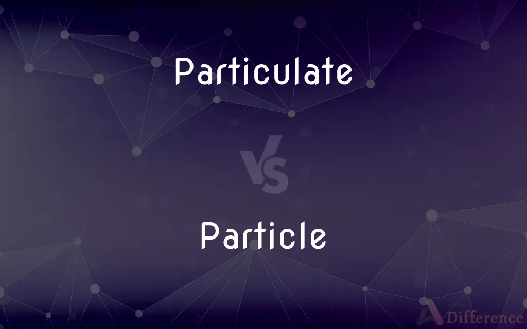 Particulate vs. Particle — What's the Difference?