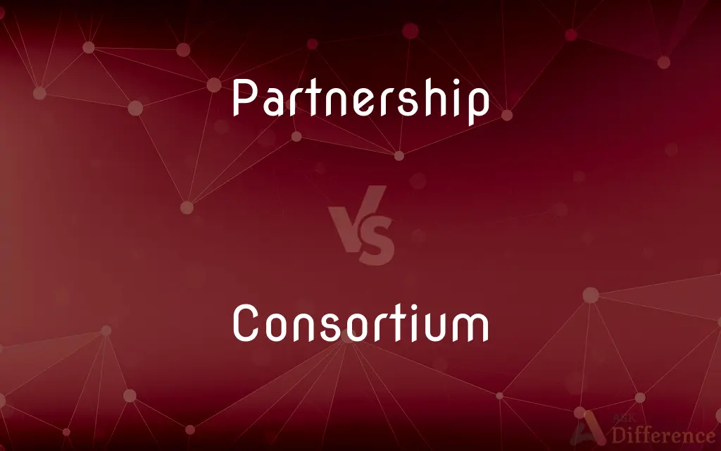 Partnership vs. Consortium — What's the Difference?
