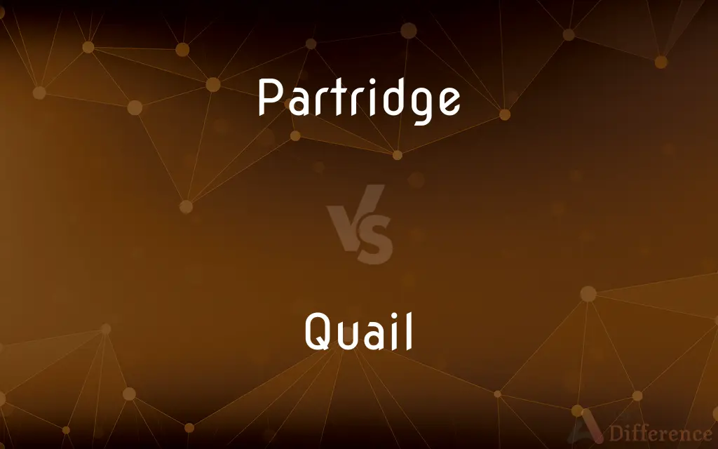 Partridge vs. Quail — What's the Difference?