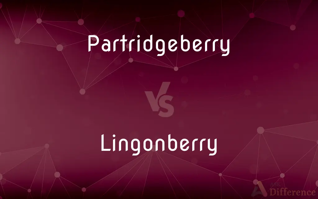Partridgeberry vs. Lingonberry — What's the Difference?