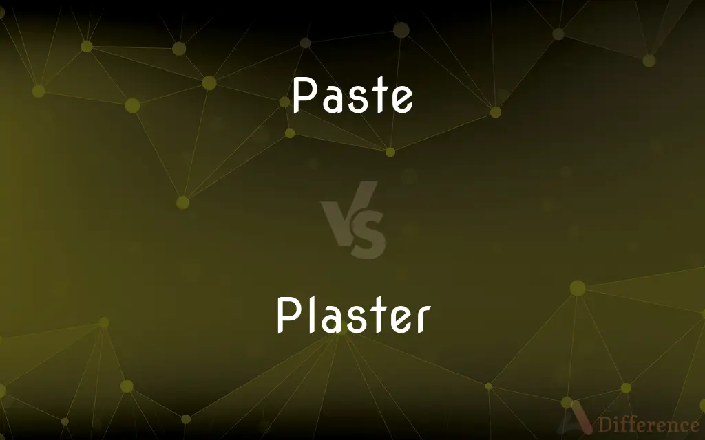 Paste vs. Plaster — What's the Difference?