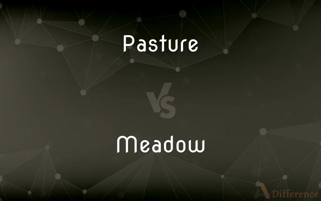 Pasture vs. Meadow — What's the Difference?