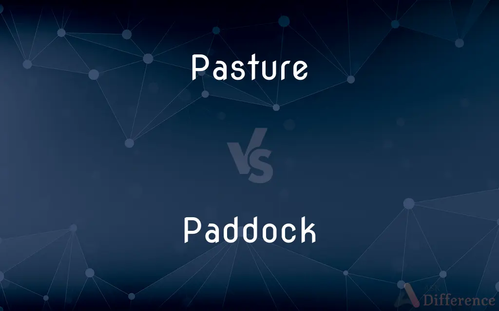 Pasture vs. Paddock — What's the Difference?