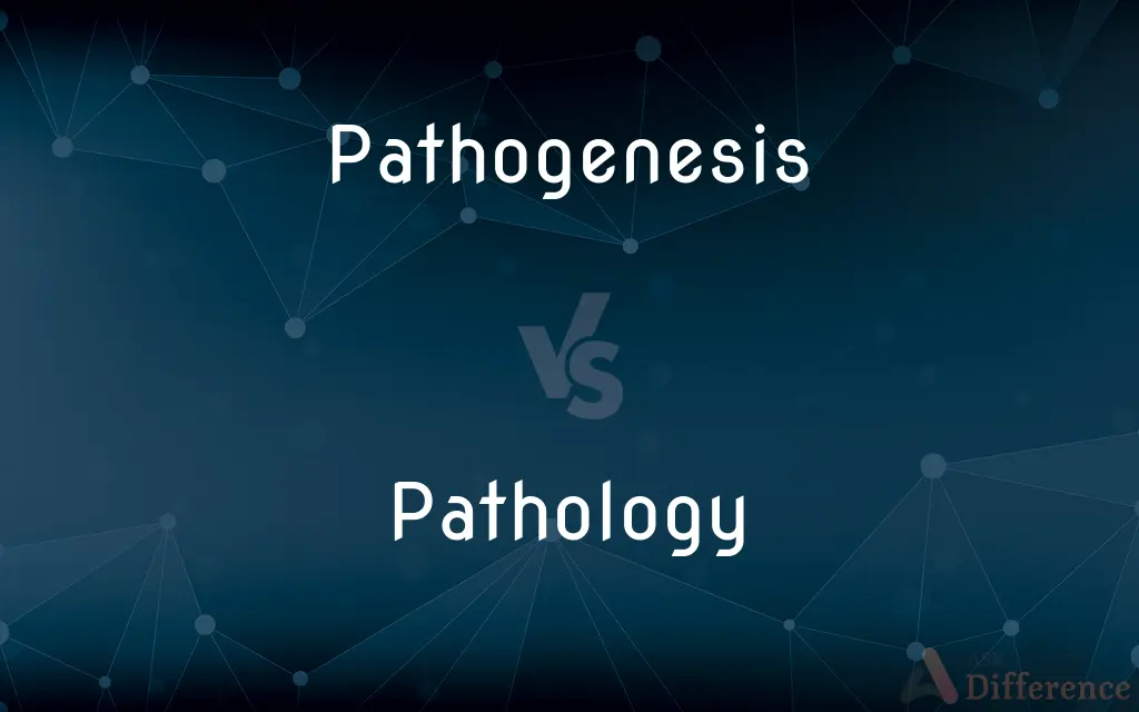 Pathogenesis vs. Pathology — What's the Difference?