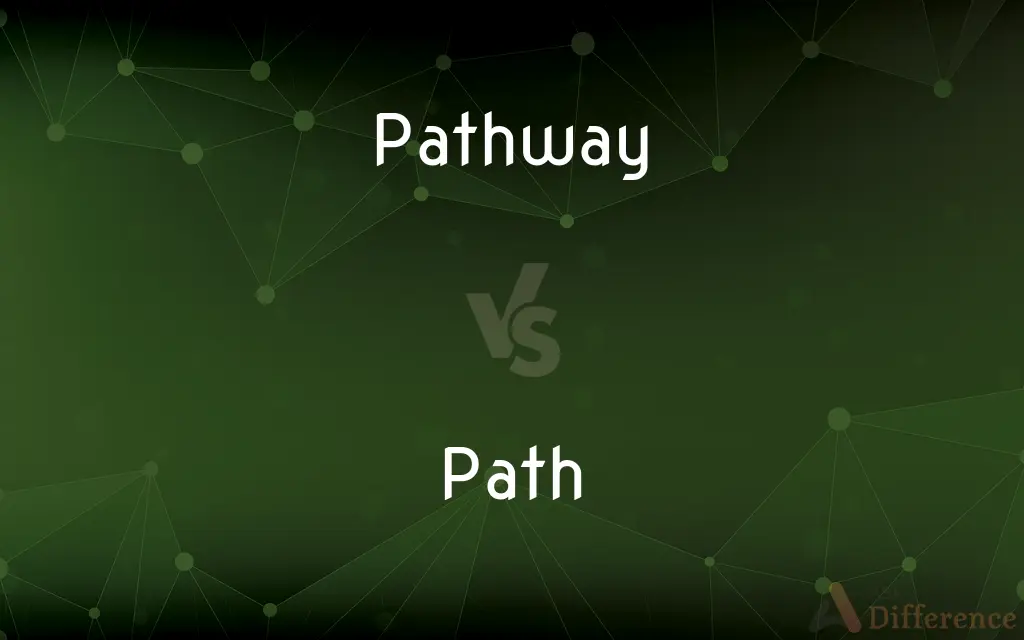 Pathway vs. Path — What's the Difference?