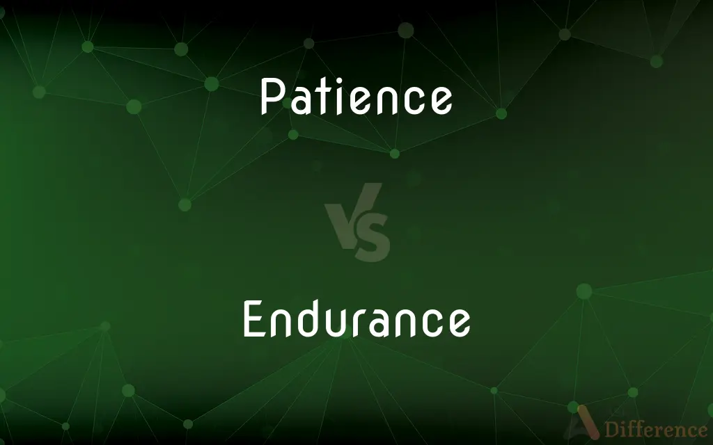 Patience vs. Endurance — What's the Difference?