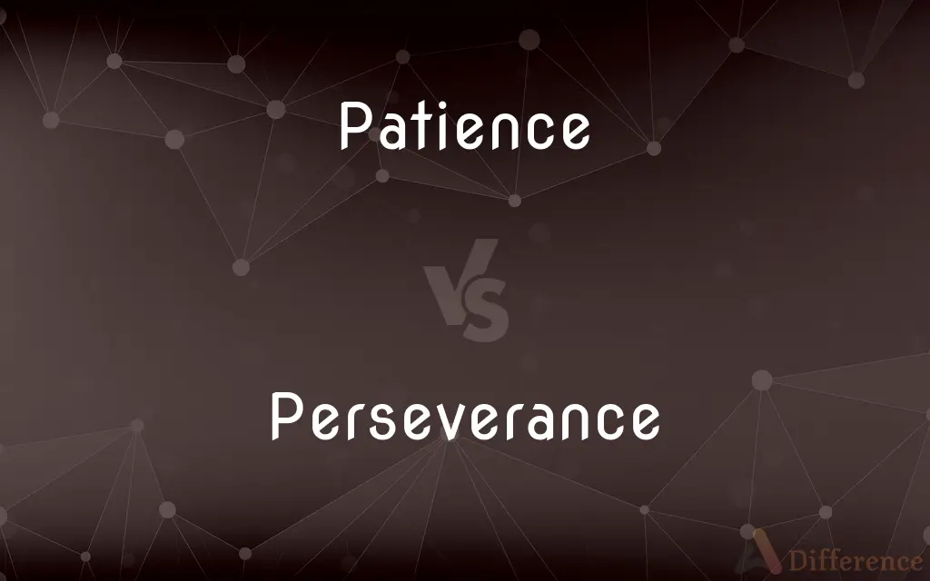 Patience vs. Perseverance — What's the Difference?