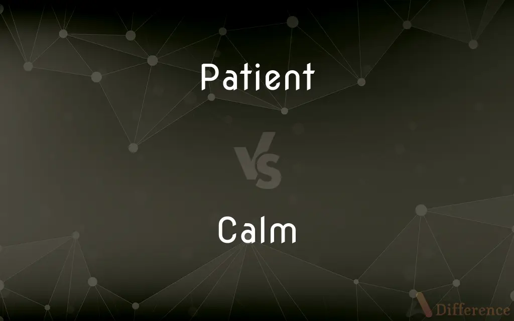 Patient vs. Calm — What's the Difference?