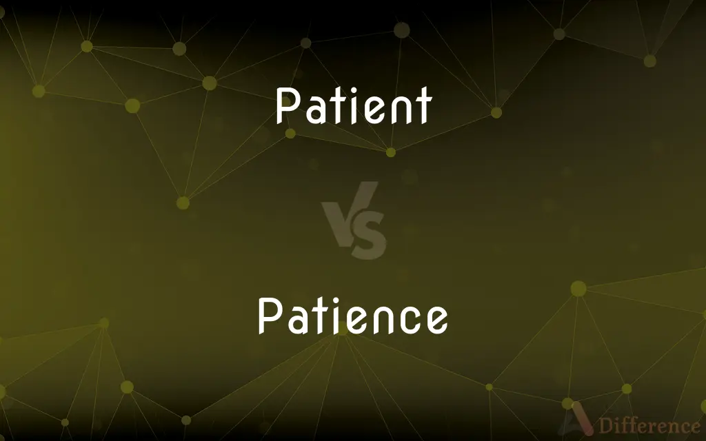 Patient vs. Patience — What's the Difference?