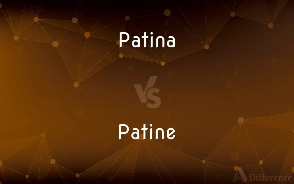 Patina vs. Patine — What's the Difference?