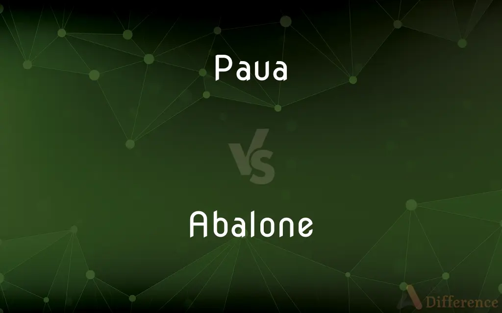 Paua vs. Abalone — What's the Difference?