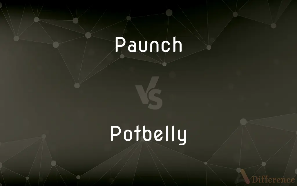 Paunch vs. Potbelly — What's the Difference?