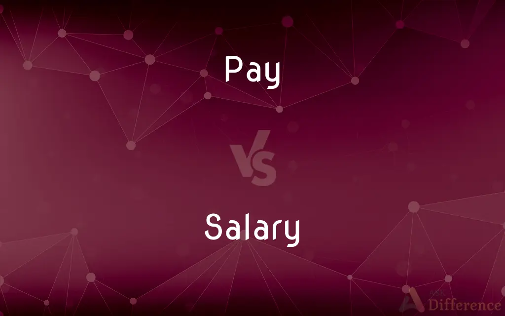 Pay vs. Salary — What's the Difference?