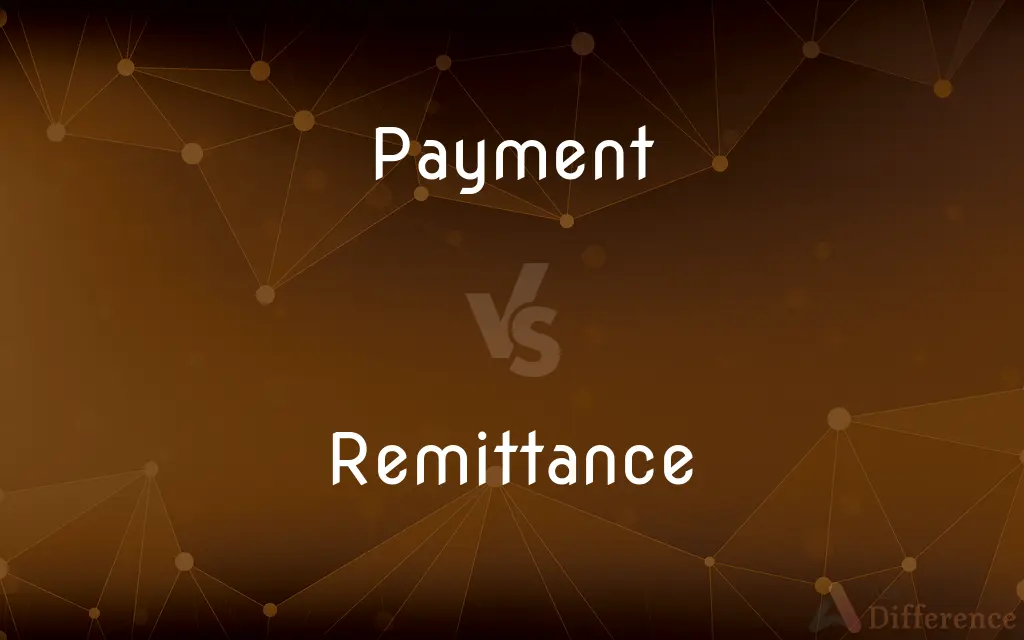 Payment vs. Remittance — What's the Difference?