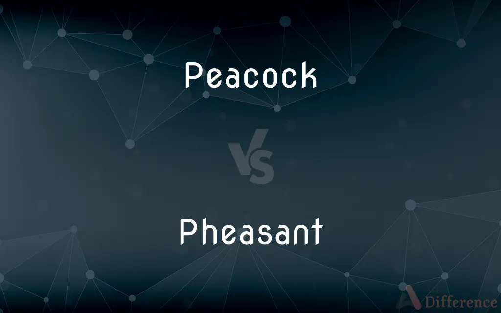 Peacock vs. Pheasant — What's the Difference?