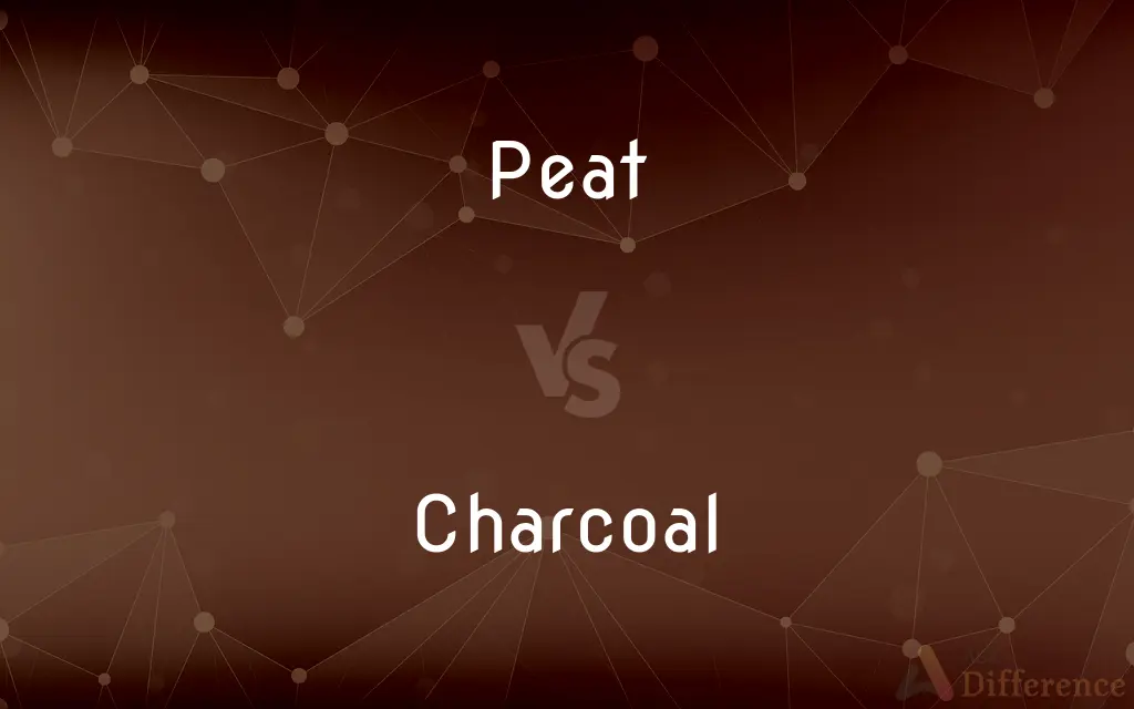 Peat vs. Charcoal — What's the Difference?