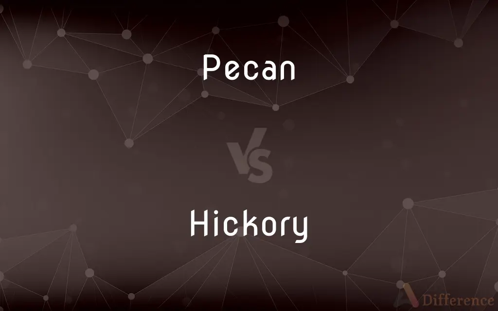 Pecan vs. Hickory — What's the Difference?