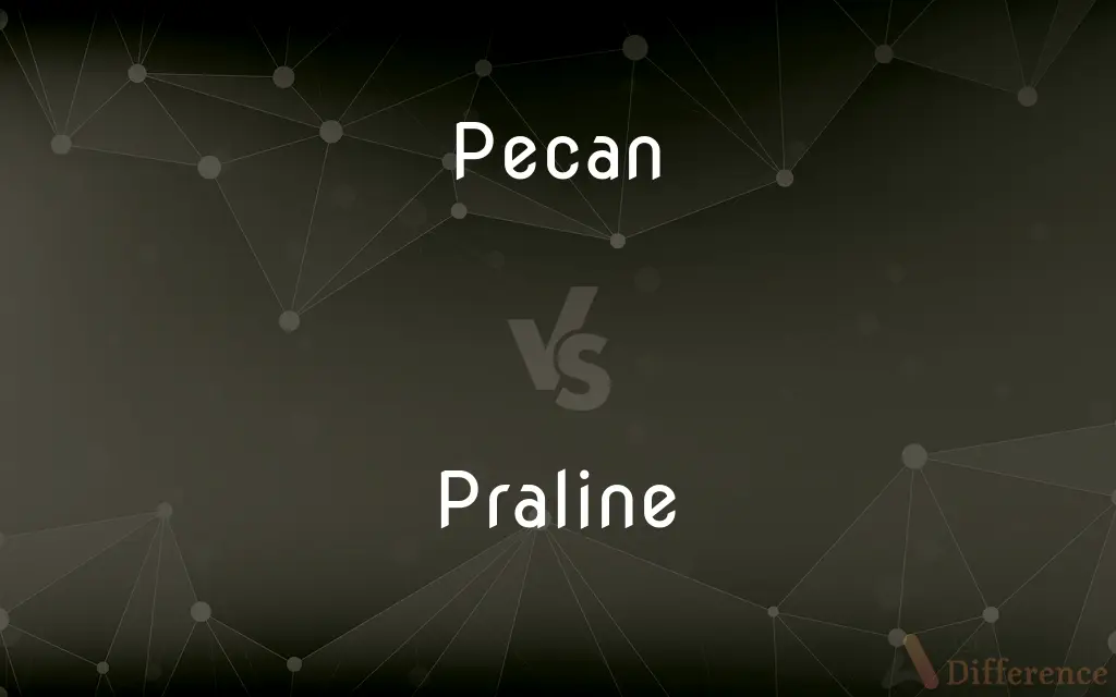 Pecan vs. Praline — What's the Difference?