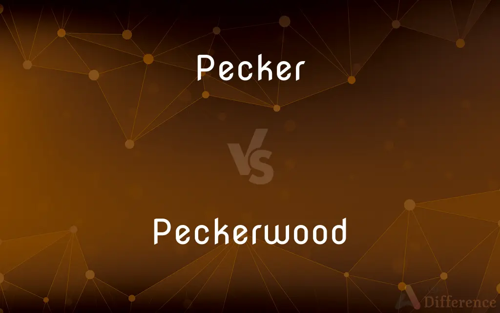 Pecker vs. Peckerwood — What's the Difference?